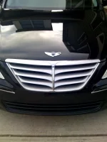 MyGenesis_front.webp