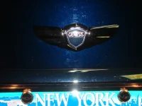 DSC00259.webp