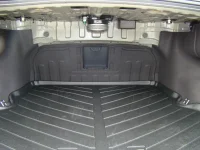 Trunk1.webp
