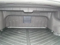 Trunk3.webp