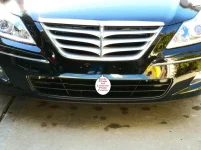 License plate.webp