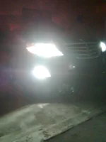 FOG 2.webp