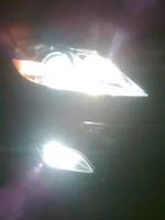hid 1.webp