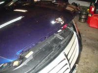 DSC00346.webp