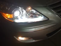 Picture 001.webp