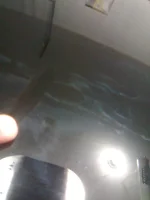 shit on car.webp
