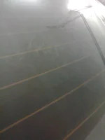 shit on windows.webp