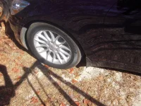 DSCN0825.webp