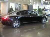 two tone genesis 015.webp