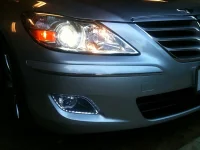 GennyLights2.webp