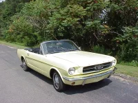 Mustang.webp
