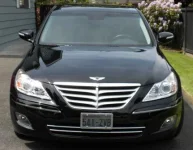 Genesis Grill.webp