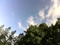 photo (6).webp