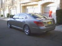 EQUUS rear view copy.webp