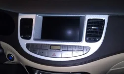 IMAG0185-1.webp
