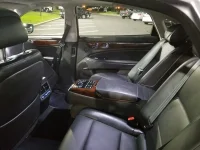 EquusBackseat.webp