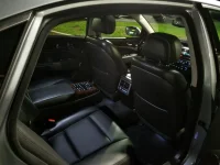 EquusBackseat2.webp