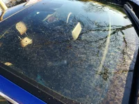 IMG_20181205_151411.webp IMG_20181205_151411.webp