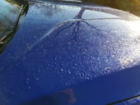 IMG_20181205_151406.webp IMG_20181205_151406.webp