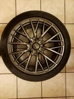 Rear2.webp