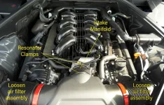 genesis_intake.webp