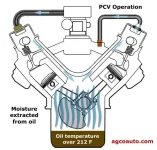 Pcv.webp