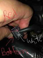 Harness 6.webp