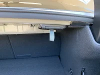 4354BB47-AEC2-486B-9C41-E66F9B3B844F.webp 4354BB47-AEC2-486B-9C41-E66F9B3B844F.webp