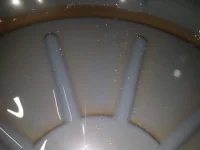 20190907_204638 (Large).webp