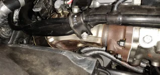 IMG_20190923_173355.webp IMG_20190923_173355.webp