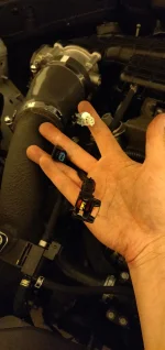 IMG_20190927_023916.webp IMG_20190927_023916.webp