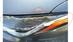 full pic.webp