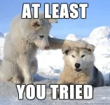 at-least-you-tried.webp
