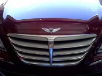 2012 Genny Front Wing.webp