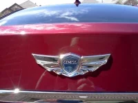 2012 Genny Trunk Wing.webp
