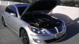 2943.webp