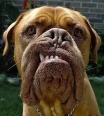 Jetro.webp