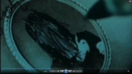 vid-15.webp