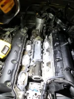 SAM_5397.webp