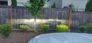 IMG_20200429_195109.webp IMG_20200429_195109.webp