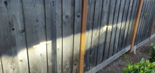 IMG_20200429_195116.webp IMG_20200429_195116.webp