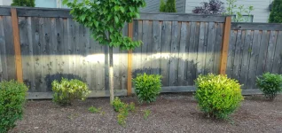 IMG_20200429_195437.webp IMG_20200429_195437.webp