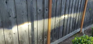 IMG_20200429_195444.webp IMG_20200429_195444.webp