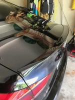 IMG_2275.webp IMG_2275.webp