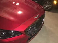 Genesis Bumper 2.jpg Genesis Bumper 2.jpg