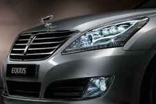 equus1.webp