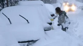 snow.webp