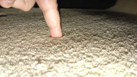 lloyd1.jpg lloyd1.jpg