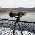 20201219_075925.webp