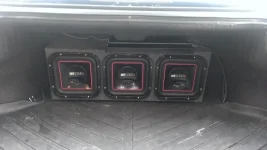 trunk2.webp